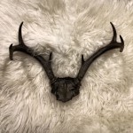 Matte Black Antlers