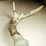 Hand Painted Antler