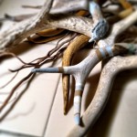 Hand Painted Antlers