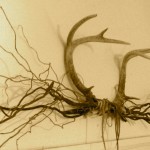 Antler and Willow Branch Wall Hanging
